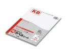 コクヨ KB-A190 PPC用紙ラベル(共用タイプ) A4ノーカット 100枚