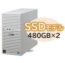 NEC NP8100-2902YQ6Y Express5800/D/T110k Xeon E-2314 4C/8GB/SSD 480GB*2 RAID1/W2022/タワー 3年保証