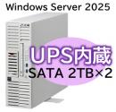 NEC NP8100-3024YPAY Express5800/D/T110m-S UPS機能内蔵モデル Xeon 6315P 4C/16GB/SATA 2TB*2 RAID1/W2025/タワー 3年保証