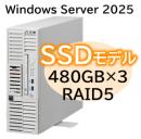 NEC NP8100-3024YPMY Express5800/D/T110m-S(RAID5対応コントローラ搭載) Xeon 6315P 4C/16GB/SSD 480GB*3 RAID5/W2025/タワー 3年保証