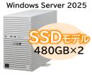 NEC NP8100-3026YPAY Express5800/D/T110m Xeon 6315P 4C/16GB/SSD 480GB*2 RAID1/W2025/タワー 3年保証