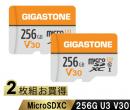 Gigastone GJMXR-OG256GV30-2PK microSDXCカード 256GB 2枚セット SDカードケース付き UHS-I U1 V30 Class10 最大読み取り速度100MB/s ビデオ録画 一眼レフカメラ スマホ データ保存 ドローン