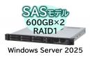 NEC NP8100-3028YP3Y Express5800/D/R110m-1(RAIDコントローラ搭載) Xeon 6325P 4C/16GB/SAS 600GB*2 RAID1/W2025/ラック 3年保証