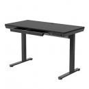 オウルテック HNESD203B-120A HUANUO 隠して整える収納付き昇降デスク ブラック 製品サイズ約1200(W)×600(D)×730(H)mm