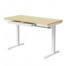 オウルテック HNESD203N-120A HUANUO 隠して整える収納付き昇降デスク 木目調 製品サイズ約1200(W)×600(D)×730(H)mm