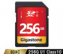 Gigastone GJSXR-256GU1-RED SDXCカード 256GB Class10 UHS-I U1スペック 最大読み取り速度100MB/s 4K Ultra HD 撮影 一眼レフカメラ デジタルカメラ 4Kビデオカメラ アクションカメラ