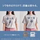 パナソニック NI-FS60C-A 衣類スチーマー（クレイブルー）