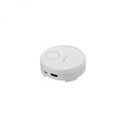 Ricoh 514300 RICOH Wireless Projection Option Button1