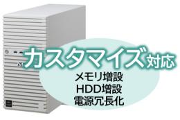 NEC NP8100-2995YPDY Express5800/D/T110m(カスタマイズ対応) Xeon E-2414 4C/16GB/3.5SATA 2TB*2 RAID1/W2022/タワー 3年保証