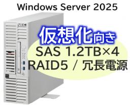 NEC NP8100-3024YPOY Express5800/D/T110m-S(RAID5対応コントローラ搭載) Xeon 6333P 6C/32GB/SAS 1.2TB*4 RAID5/冗長電源/W2025/タワー 3年保証