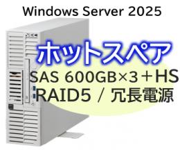 NEC NP8100-3024YPQY Express5800/D/T110m-S(RAID5対応コントローラ搭載) Xeon 6333P 6C/32GB/SAS 600GB*4 RAID5/冗長電源/W2025/タワー 3年保証