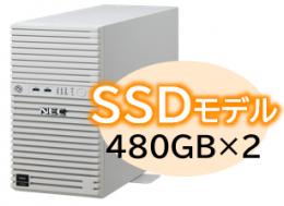 NEC NP8100-3026YP9Y Express5800/D/T110m Xeon 6315P 4C/16GB/SSD 480GB*2 RAID1/W2022/タワー 3年保証