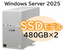 NEC NP8100-3026YPAY Express5800/D/T110m Xeon 6315P 4C/16GB/SSD 480GB*2 RAID1/W2025/タワー 3年保証