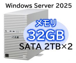 NEC NP8100-3026YPEY Express5800/D/T110m Xeon 6315P 4C/32GB/SATA 2TB*2 RAID1/W2025/タワー 3年保証