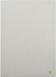 iFLYTEK AINOTE2CASEMI iFLYTEK AINOTE Original Protective Case-Mist