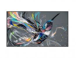 PHILIPS 55BDL3511Q/11 液晶ディスプレイ（サイネージ） 55型/3840×2160/DVI、HDMI/ブラック/スピーカー：有り/Android：無し/4K