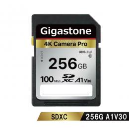 Gigastone GJSX-256GV3A1 SDXCカード 256GB Class10 UHS-I U1 A1 V30スペック 最大読み取り速度100MB/s 4K & Full HDカメラ パソコン 写真 動画データ保存