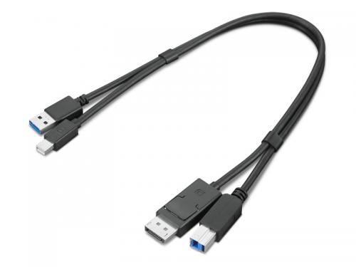 レノボ 4X91D11453 ThinkStation Mini-DisplayPort/USB Type-A3.0 